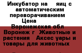 Инкубатор на 75 яиц с автоматическим переворачиванием › Цена ­ 4 500 - Воронежская обл., Воронеж г. Животные и растения » Аксесcуары и товары для животных   . Воронежская обл.